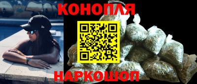 МДПВ Бийск