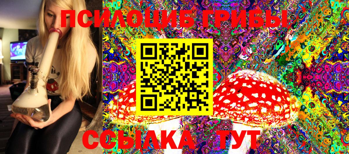 Псилоцибиновые грибы GOLDEN TEACHER Иваново