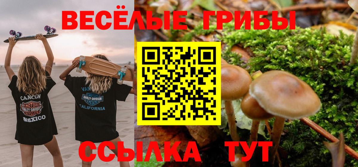Галлюциногенные грибы Magic Shrooms  магазин продажи   Иваново  Вход с VPN 